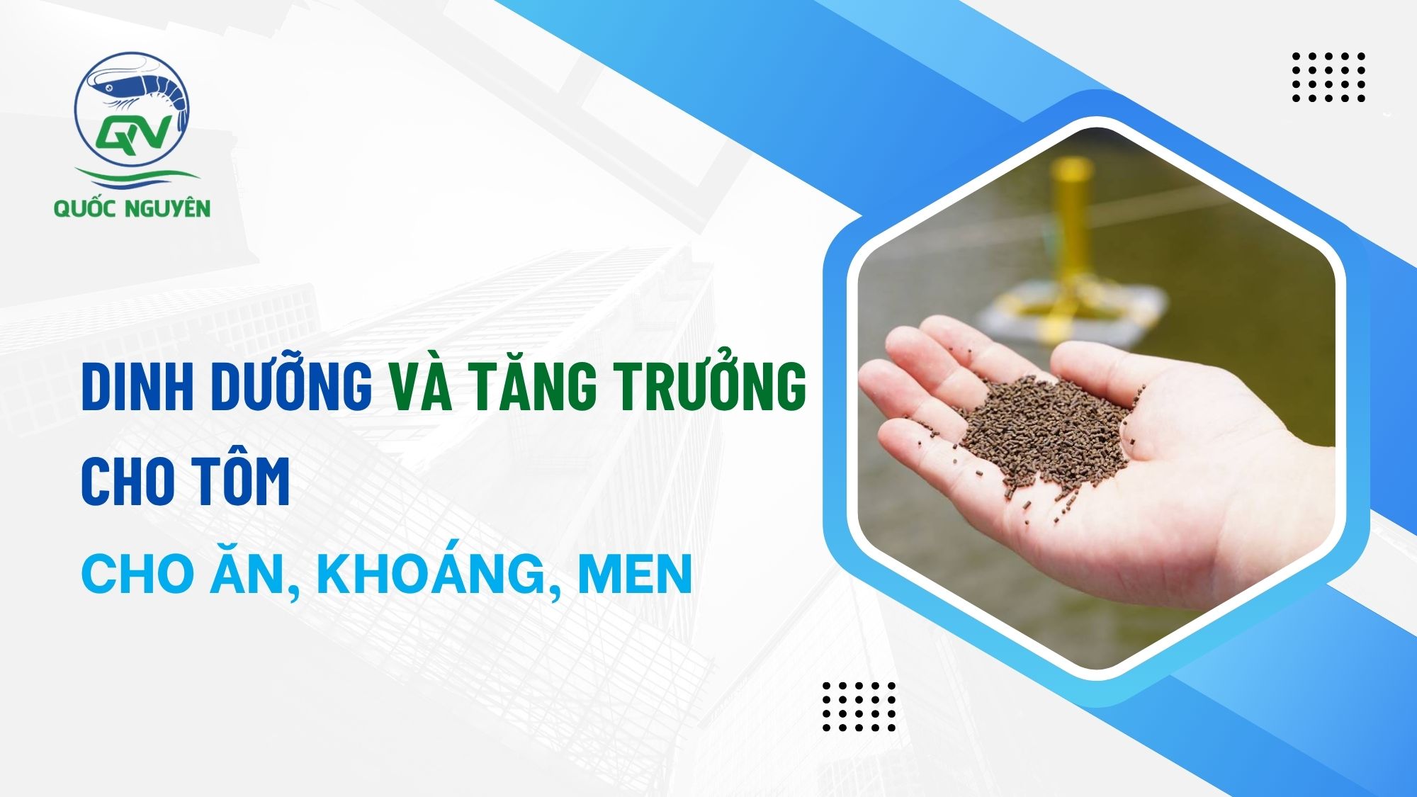 Dinh Dưỡng Và Tăng Trưởng Cho Tôm: Cho Ăn, Khoáng, Men