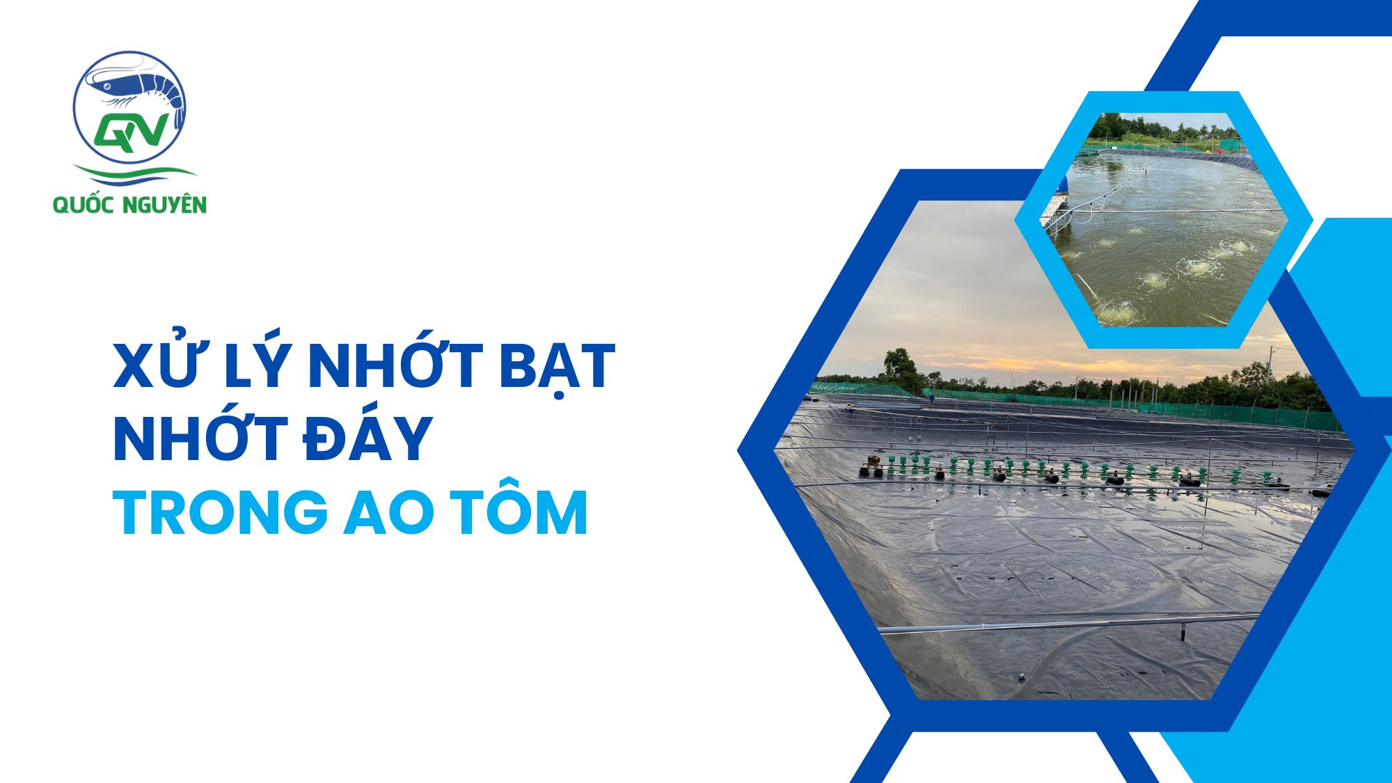 Xử Lý Nhớt Bạt, Nhớt Đáy Trong Ao Tôm