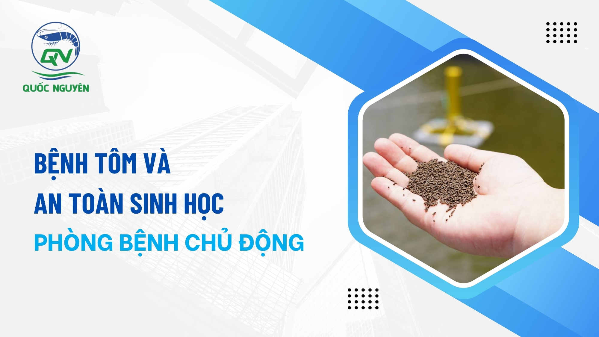 Bệnh Tôm Và An Toàn Sinh Học: Phòng Bệnh Chủ Động