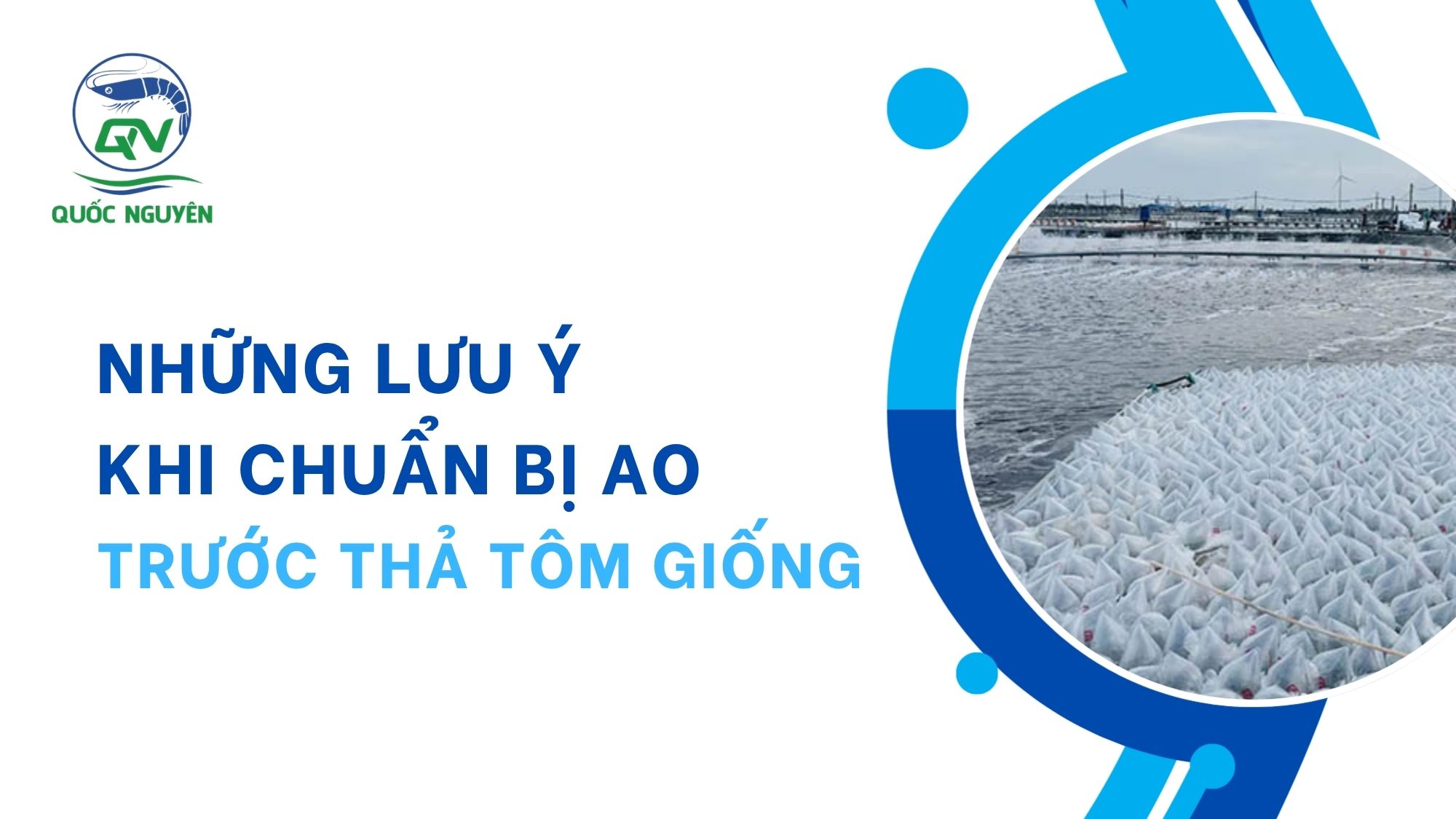 Những Lưu Ý Khi Chuẩn Bị Ao Trước Thả Tôm Giống