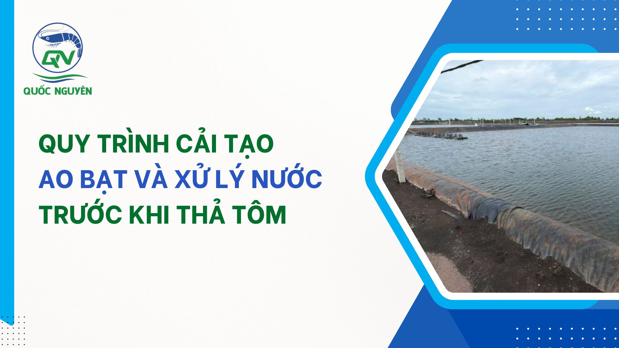 Quy Trình Cải Tạo  Ao Bạt Và Xử Lý Nước Trước Khi Thả Tôm