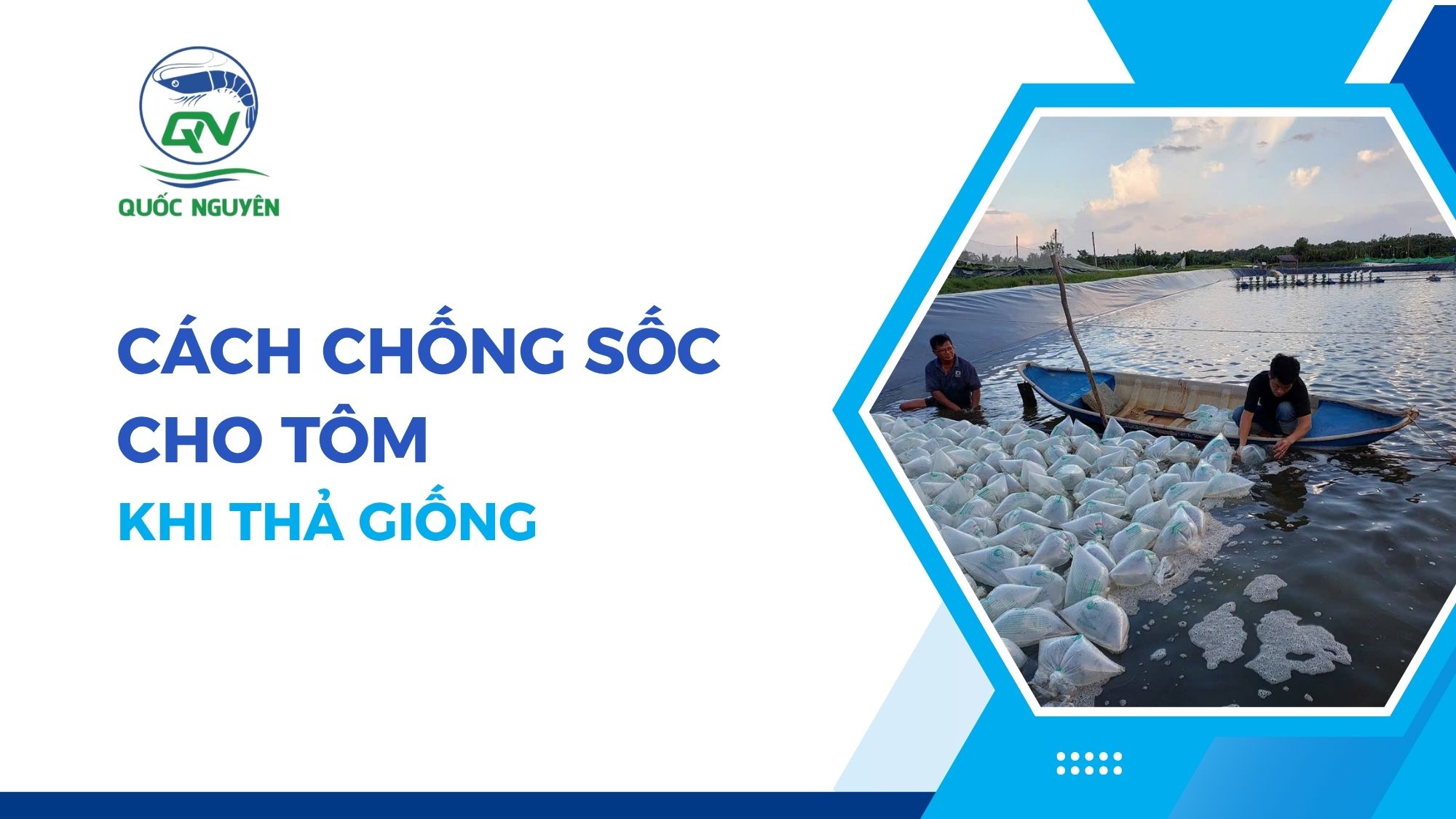 Cách Chống Sốc Cho Tôm Khi Thả Giống