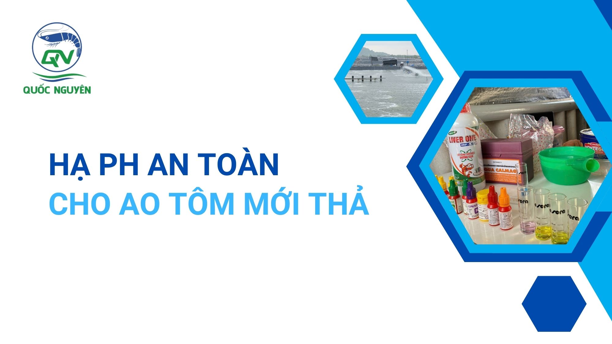 Hạ pH An Toàn Cho Ao Tôm Mới Thả
