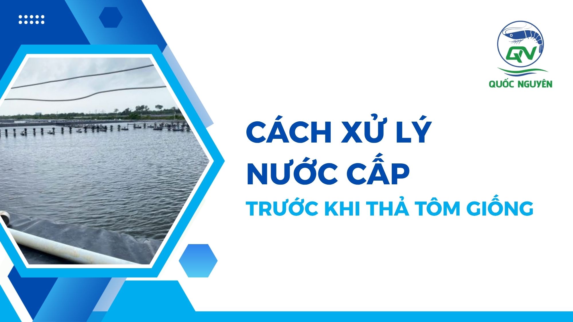Cách Xử Lý Nước Cấp Trước Khi Thả Tôm Giống