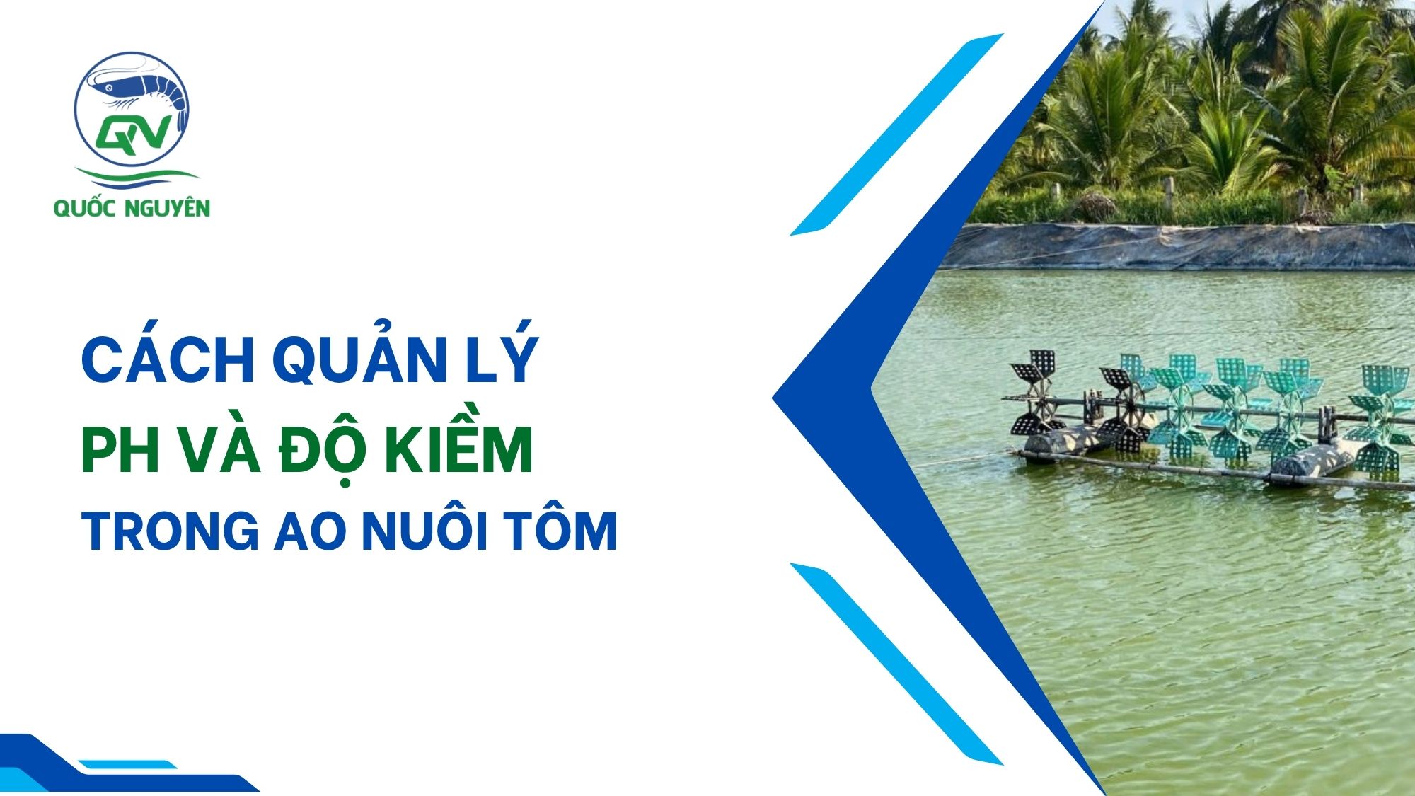 Cách Quản Lý pH Và Độ Kiềm Trong Ao Nuôi Tôm