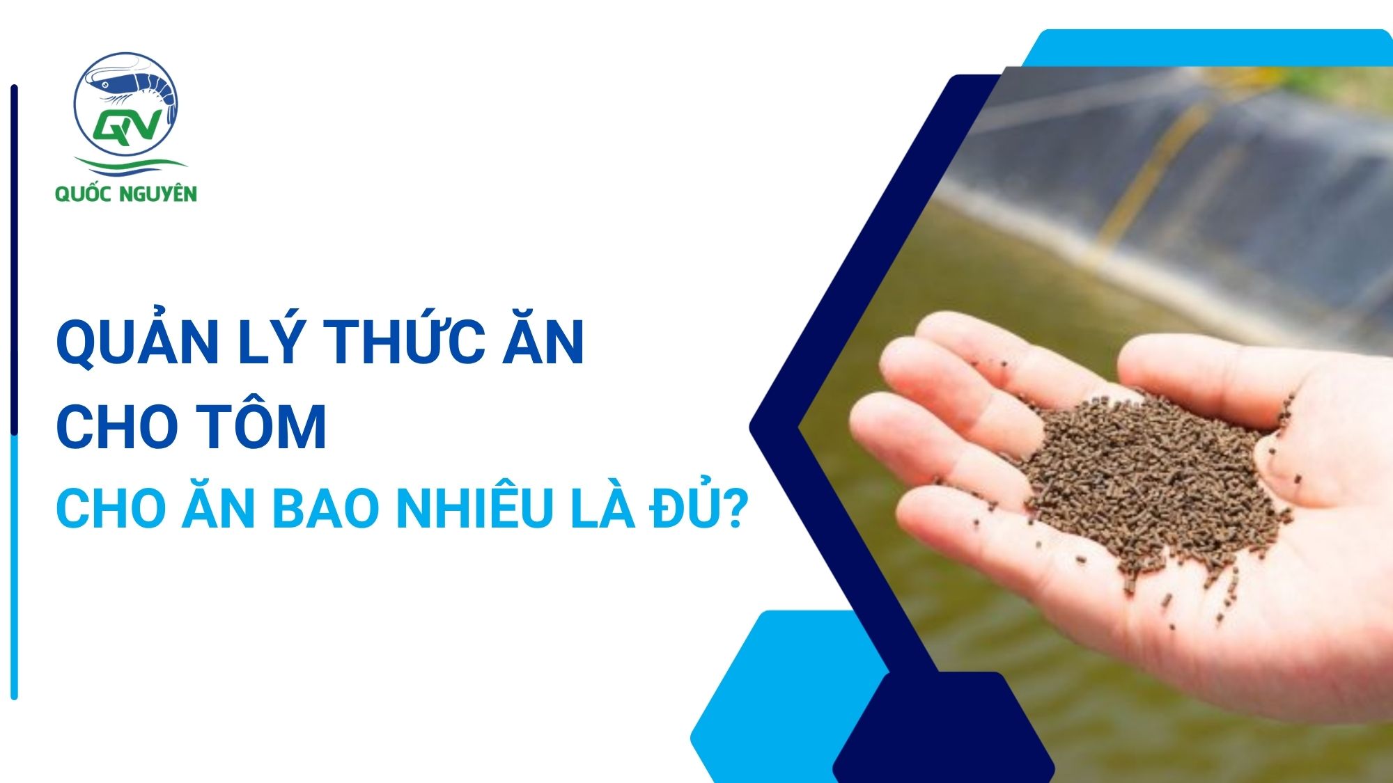 Quản Lý Thức Ăn Cho Tôm: Cho Ăn Bao Nhiêu Là Đủ?