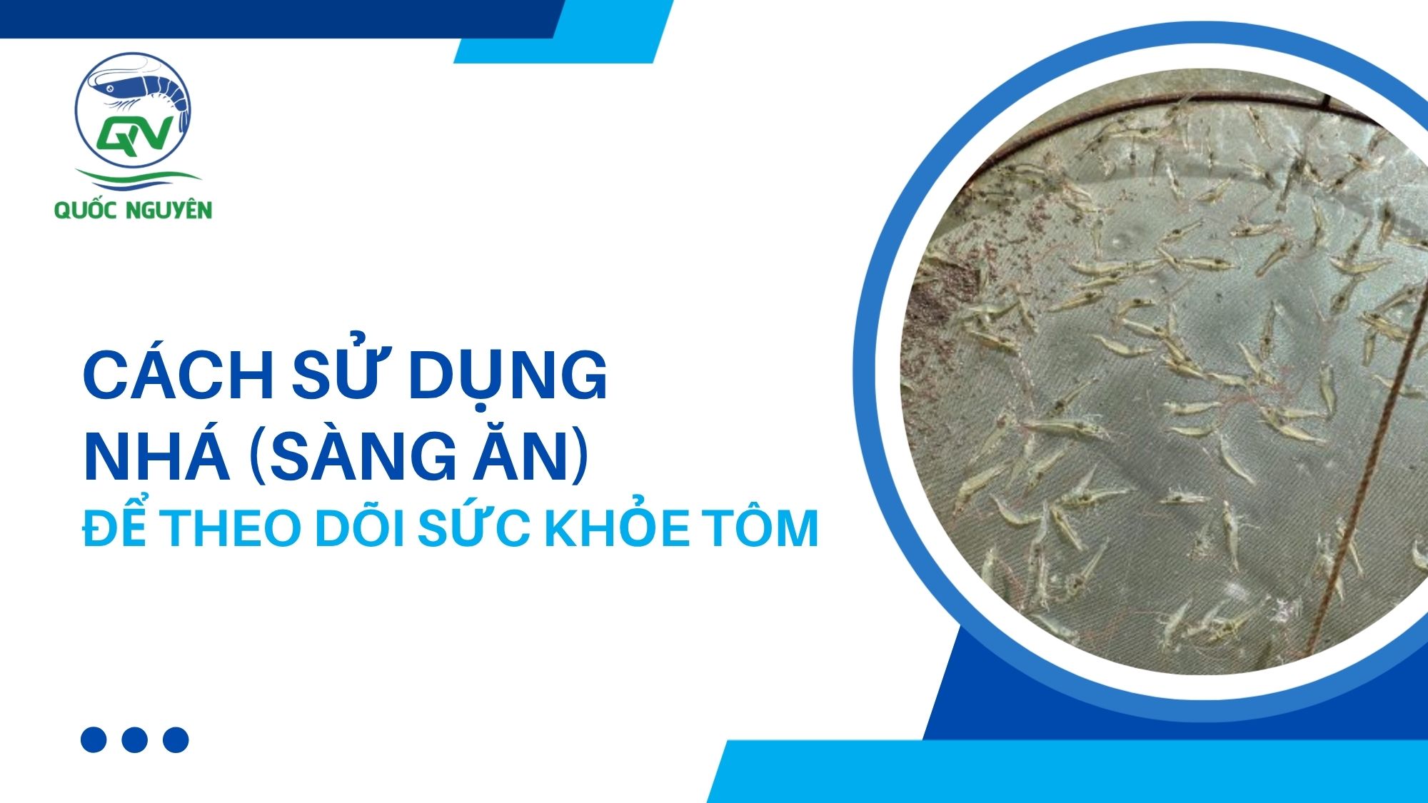 Cách Sử Dụng Nhá (Sàng Ăn) Để Theo Dõi Sức Khỏe Tôm
