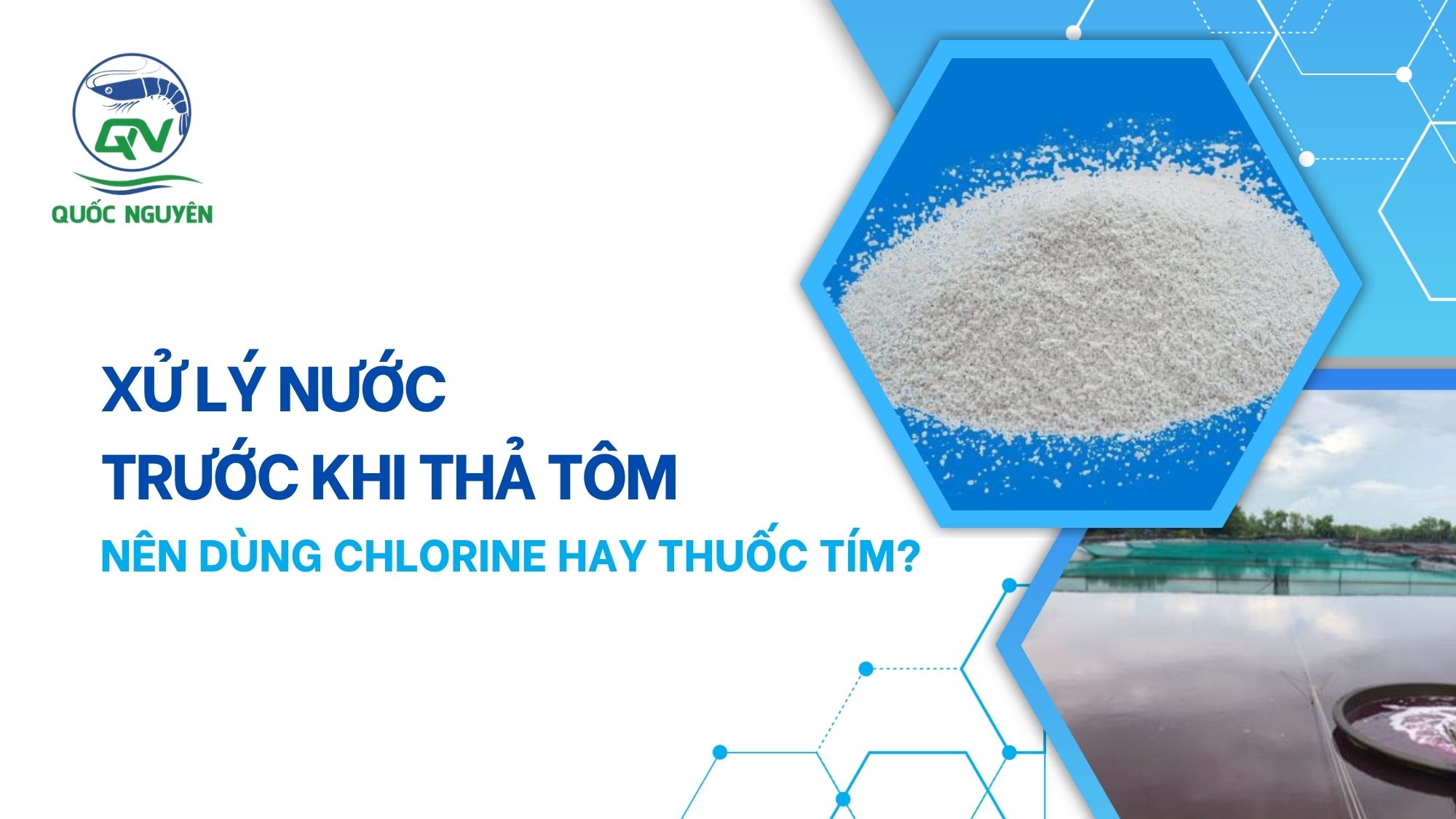 Xử Lý Nước Trước Khi Thả Tôm: Nên Dùng Chlorine Hay Thuốc Tím?