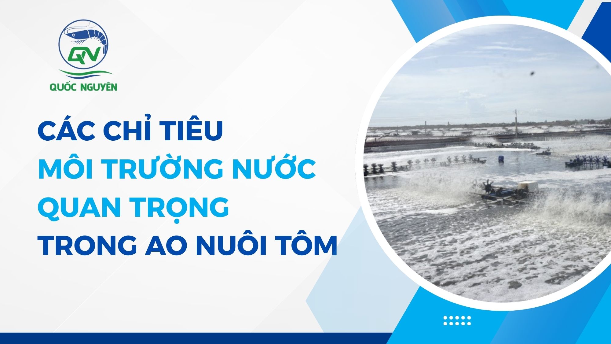 Các Chỉ Tiêu Môi Trường Nước Quan Trọng Trong Ao Nuôi Tôm