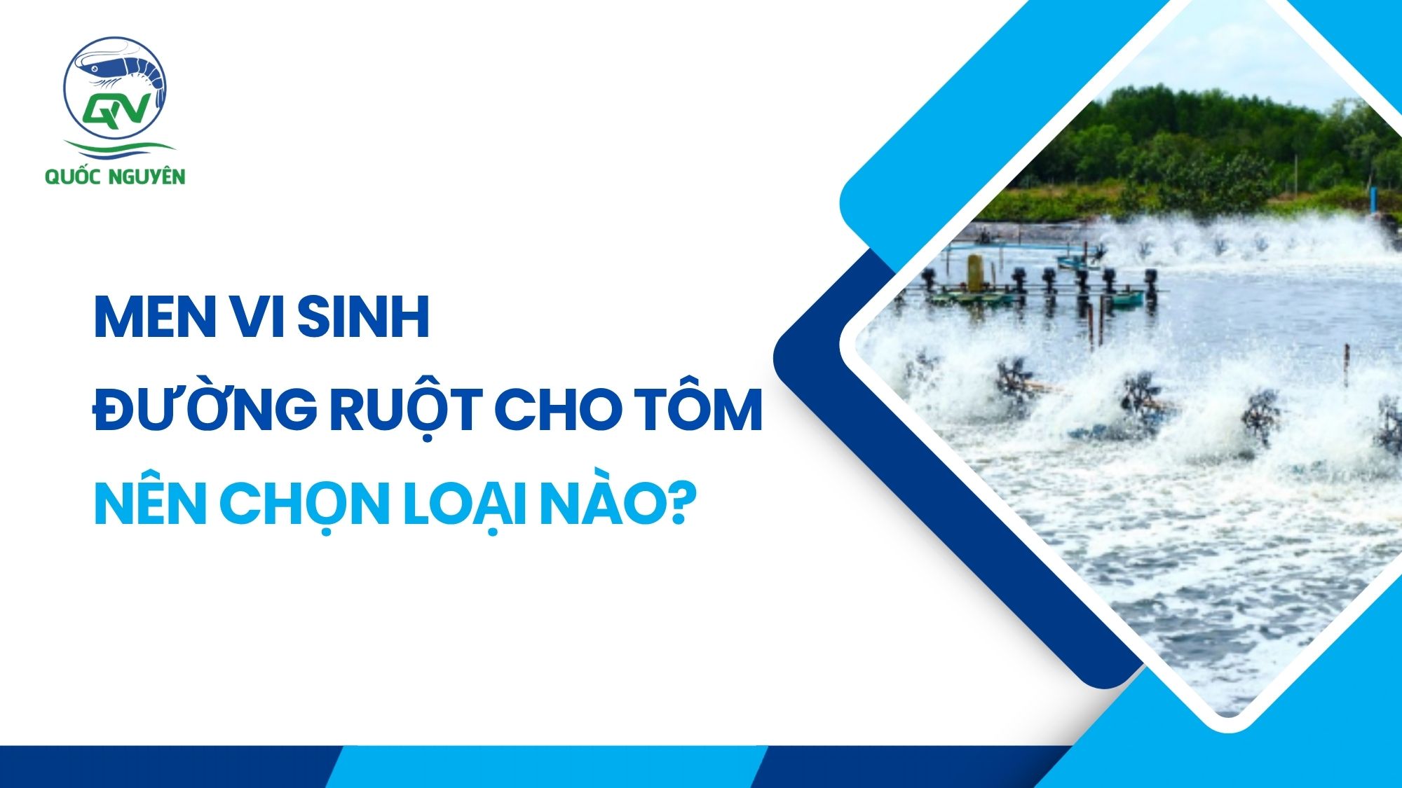 Men Vi Sinh Đường Ruột Cho Tôm Nên Chọn Loại Nào?
