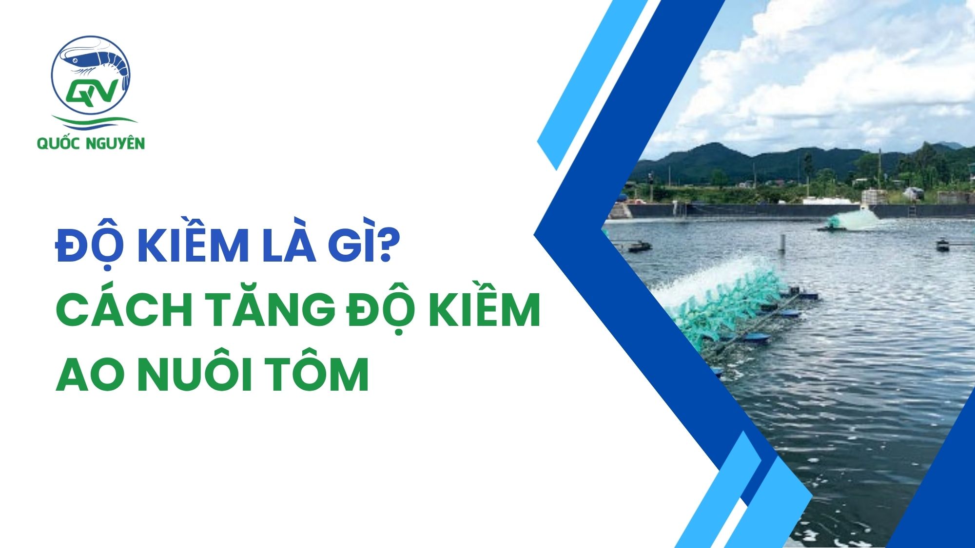 Độ Kiềm Là Gì? Cách Tăng Độ Kiềm Ao Nuôi Tôm
