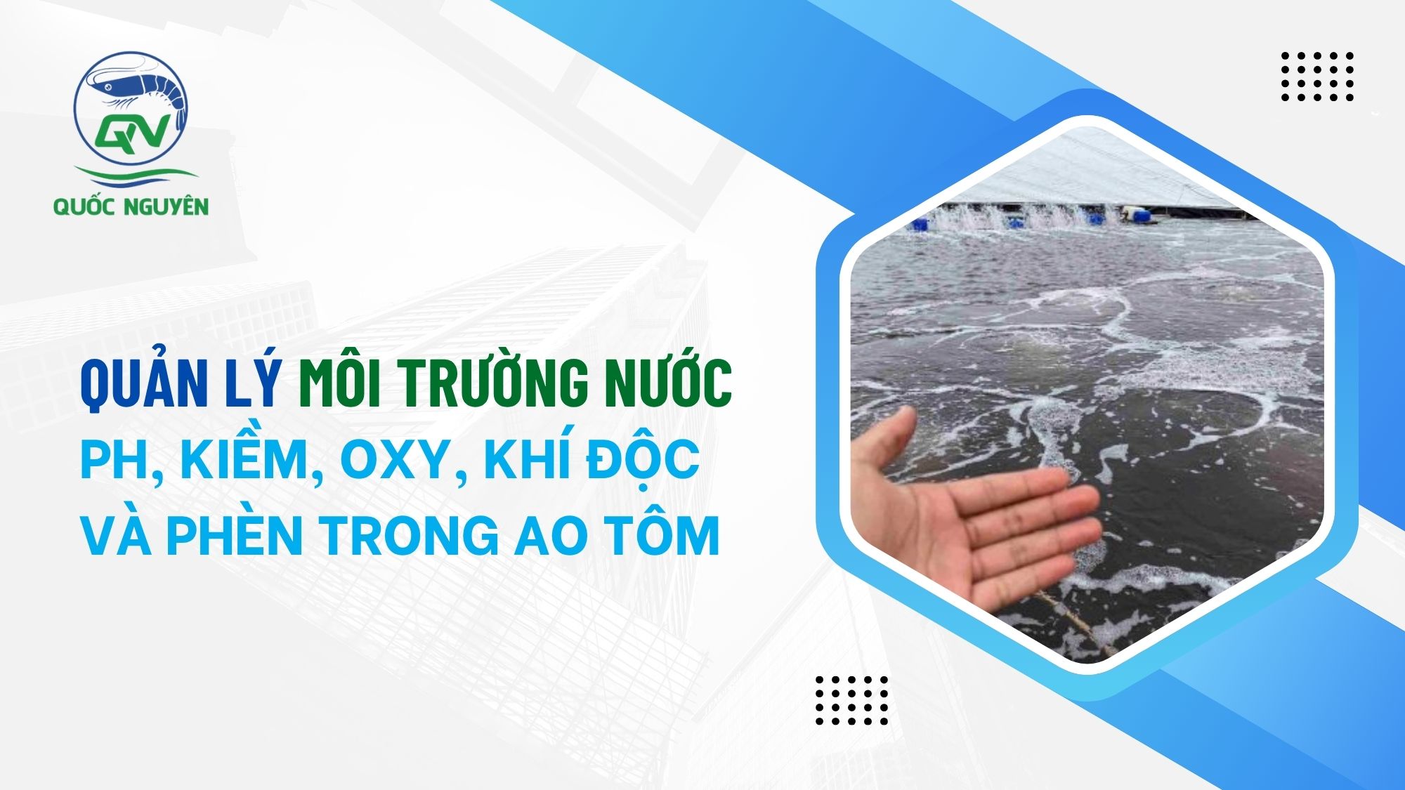 Quản Lý Môi Trường Nước Ao Tôm: pH, Kiềm, Khí Độc, Oxy Và Phèn