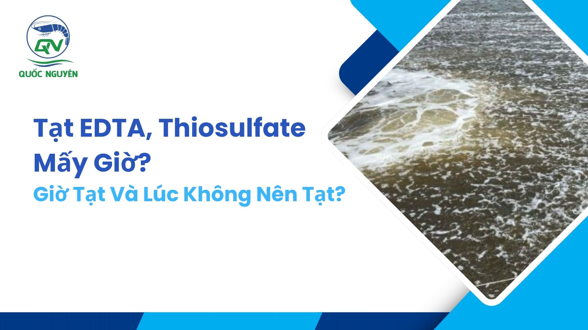 Tạt EDTA, Thiosulfate Mấy Giờ? Giờ Tạt Và Lúc Không Nên Tạt?