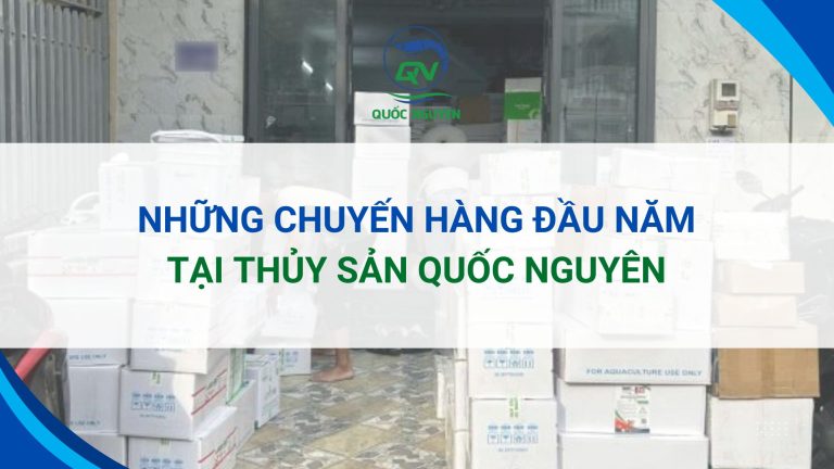 Những Chuyến Hàng Đầu Năm Tại Thủy Sản Quốc Nguyên