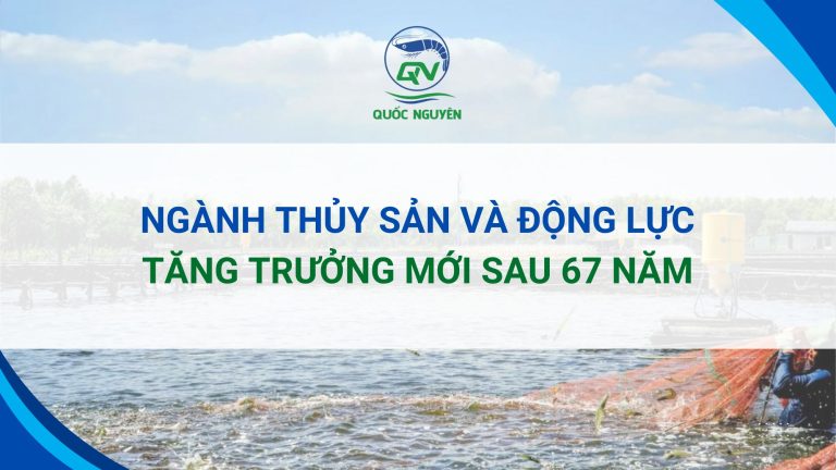 Ngành Thủy Sản Và Động Lực Tăng Trưởng Mới Sau 67 Năm