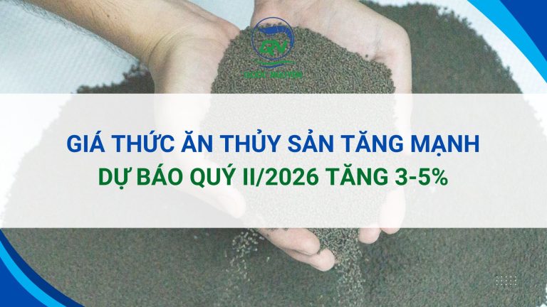 Giá Thức Ăn Thủy Sản Tăng Mạnh, Dự Báo Quý II/2026 Tăng 3-5%