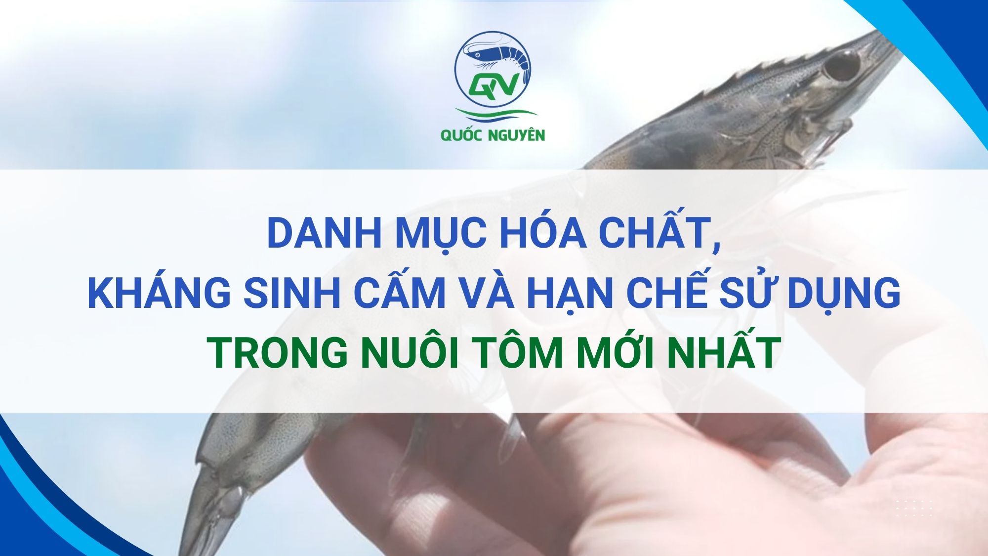 Danh Mục Hóa Chất, Kháng Sinh Cấm Và Hạn Chế Sử Dụng Trong Nuôi Tôm Mới Nhất