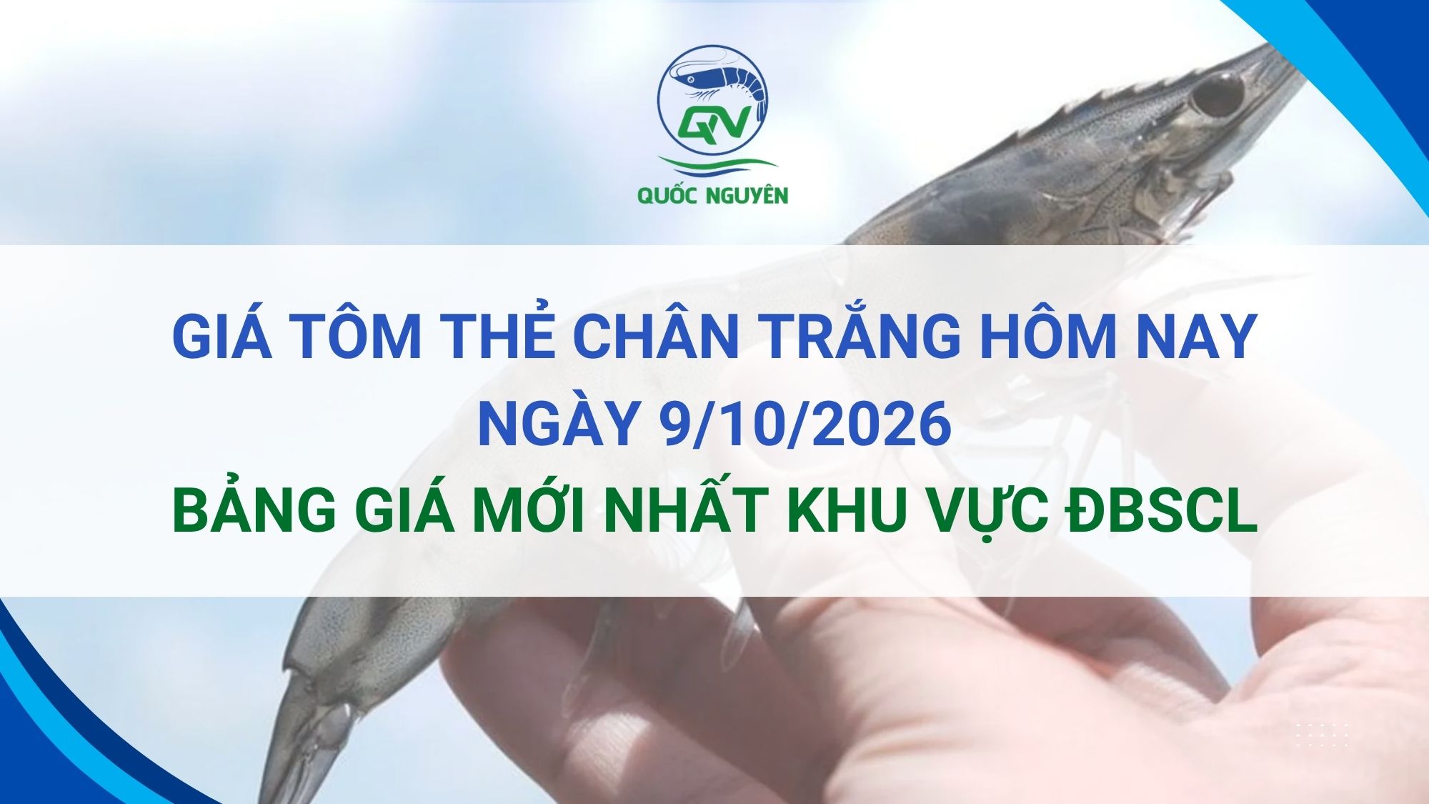 Giá Tôm Thẻ Chân Trắng Hôm Nay 9/10/2026: Bảng Giá Mới Nhất Khu Vực ĐBSCL